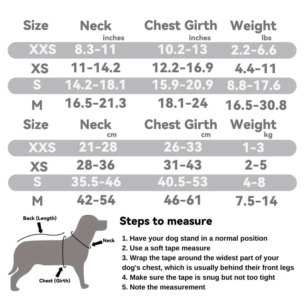 Denim Button Pet Harness: Minimal Utility Series