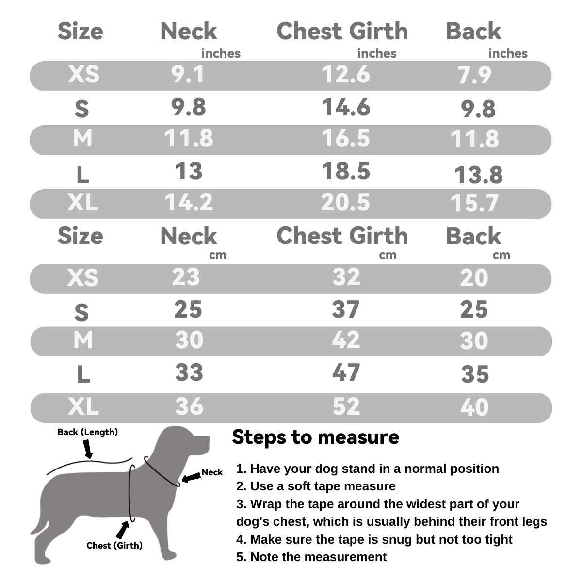 Striped Bear Pet Vest Harness: Everyday Vibes Series