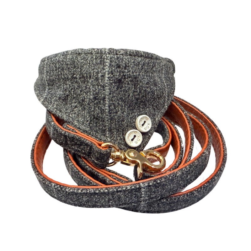 Tweed Collar & Leash Set: Urban Chic Series