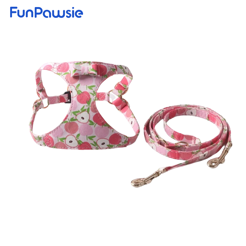 Fruit Duck Pet Harness Set: Fun Outing Series