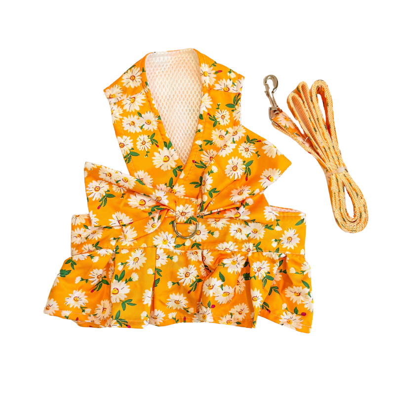 Pet Harness and Leash Set: Summer Floral Collection