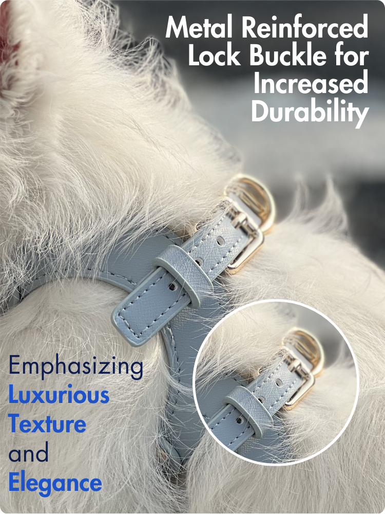 Pet Harness: Classic Leatherette
