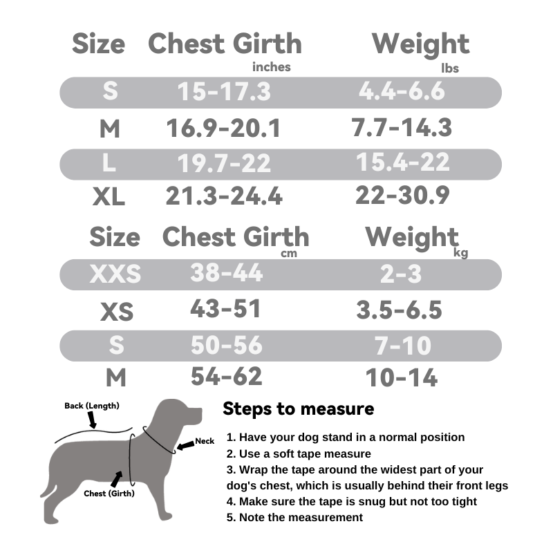 Teddy Bear Pet Harness Set: Protective Guard Series