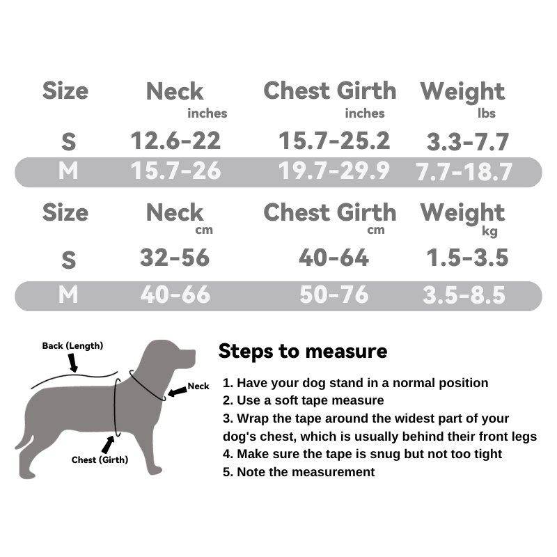 Plaid Bear Pet Harness & Leash Set: Sweet & Playful Series