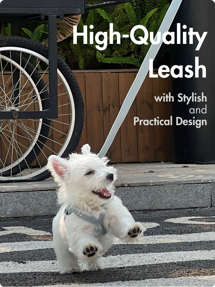 Pet Harness: Classic Leatherette