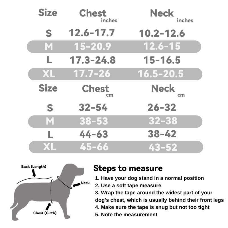 Rainbow Heart Pet Harness: Colorful Joy Series