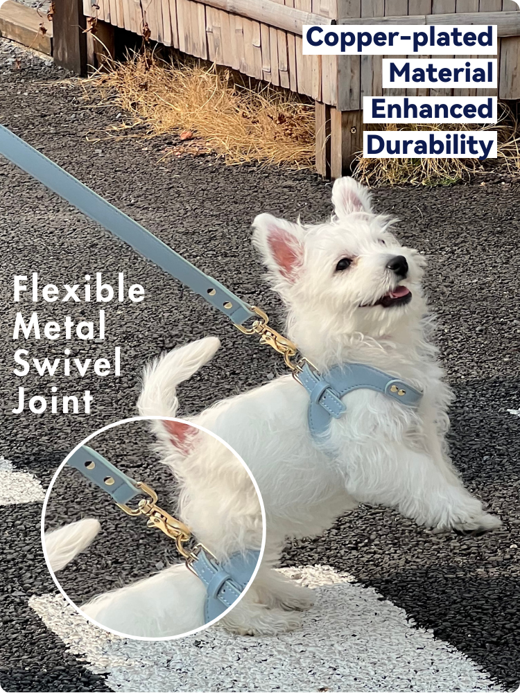 Pet Harness: Classic Leatherette