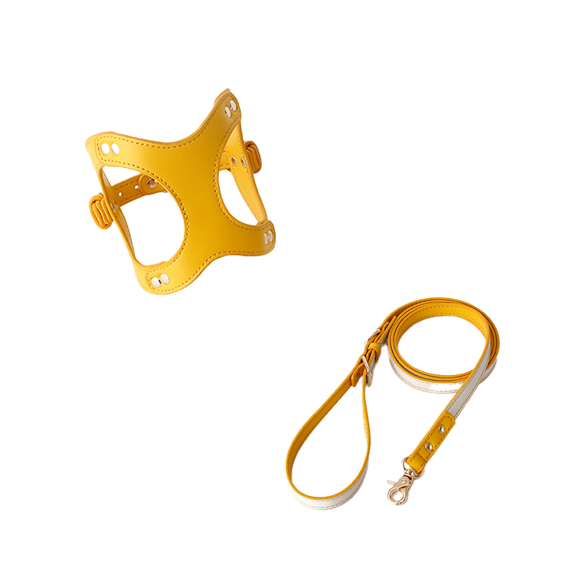 Luxurious Leather Pet Harness: for Small to Medium Dogs and Cats
