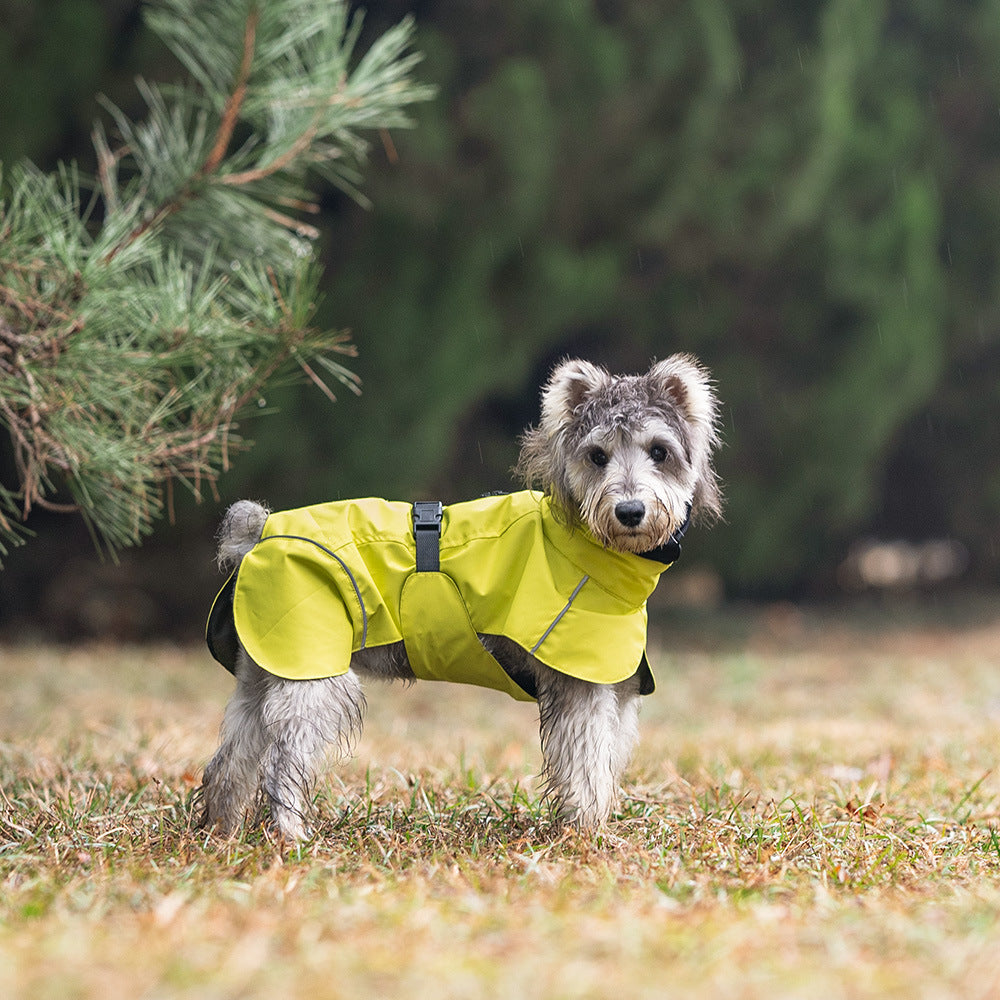 Pet Raincoat: High-Visibility Safety Gear for Wet Walks