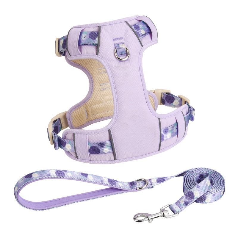 Sweet Garden Series: Pet Harness & Leash Set