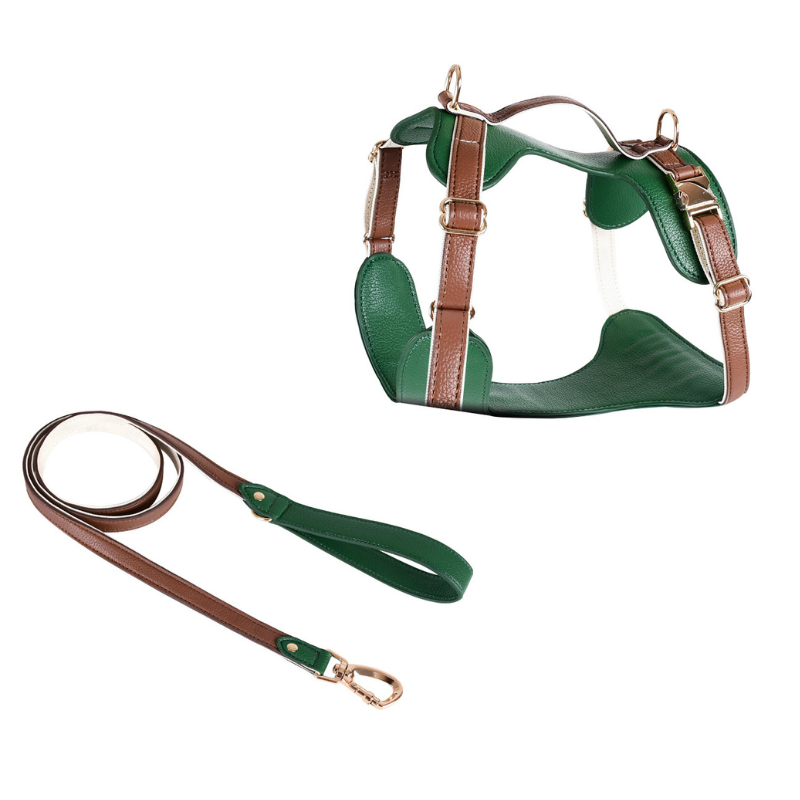 Luxe Harness: Control Handle for Med-Large Dogs