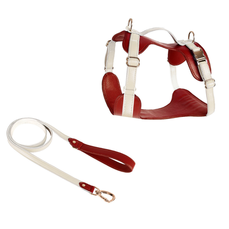 Luxe Harness: Control Handle for Med-Large Dogs