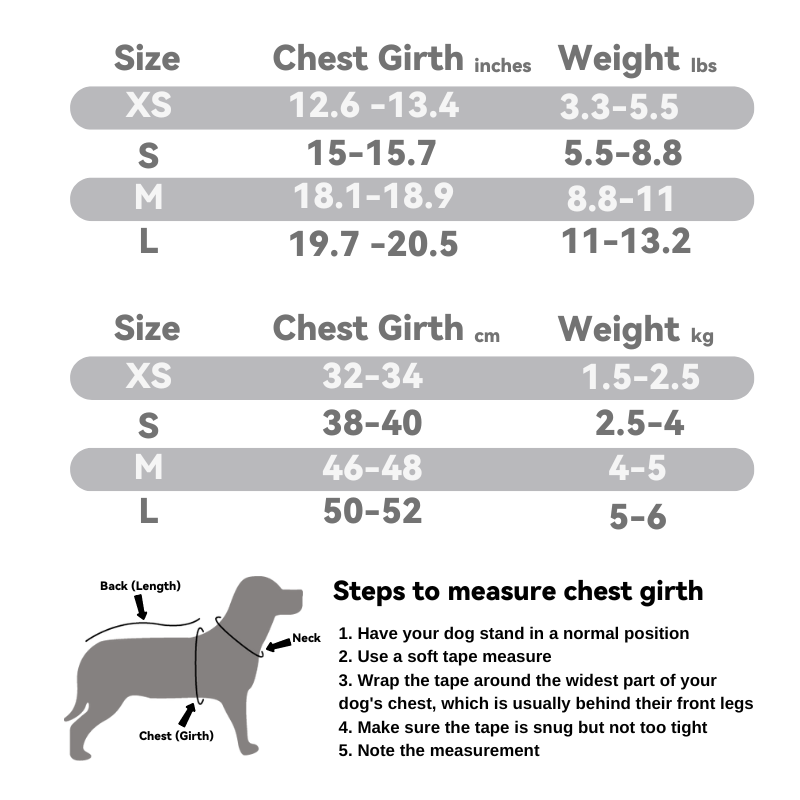 Pet Harness and Leash Set: Summer Fruit Collection