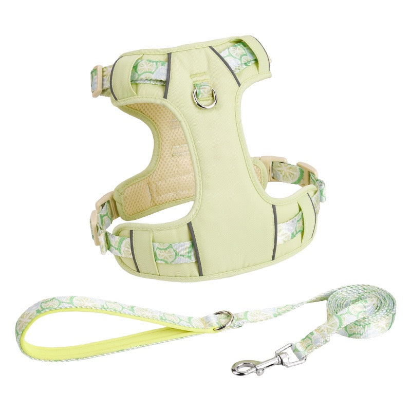 Sweet Garden Series: Pet Harness & Leash Set