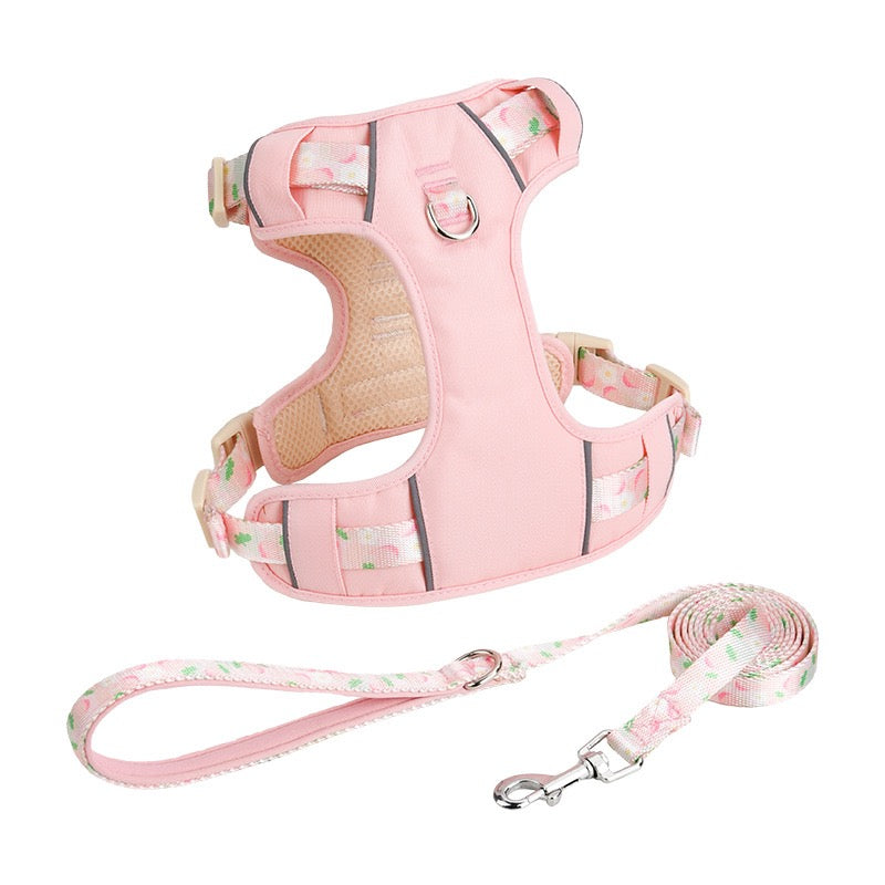Sweet Garden Series: Pet Harness & Leash Set