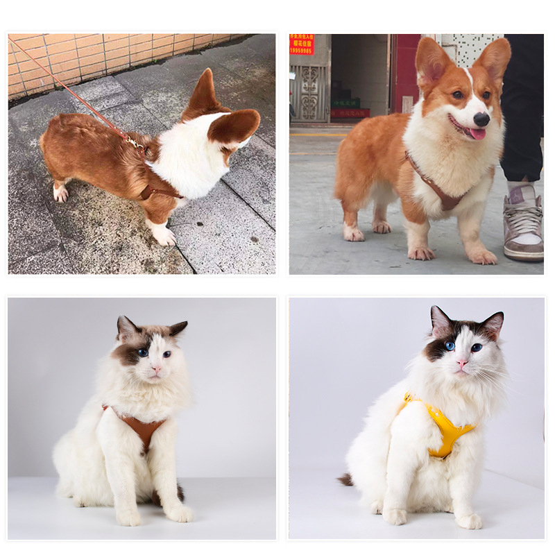 Luxurious Leather Pet Harness: for Small to Medium Dogs and Cats