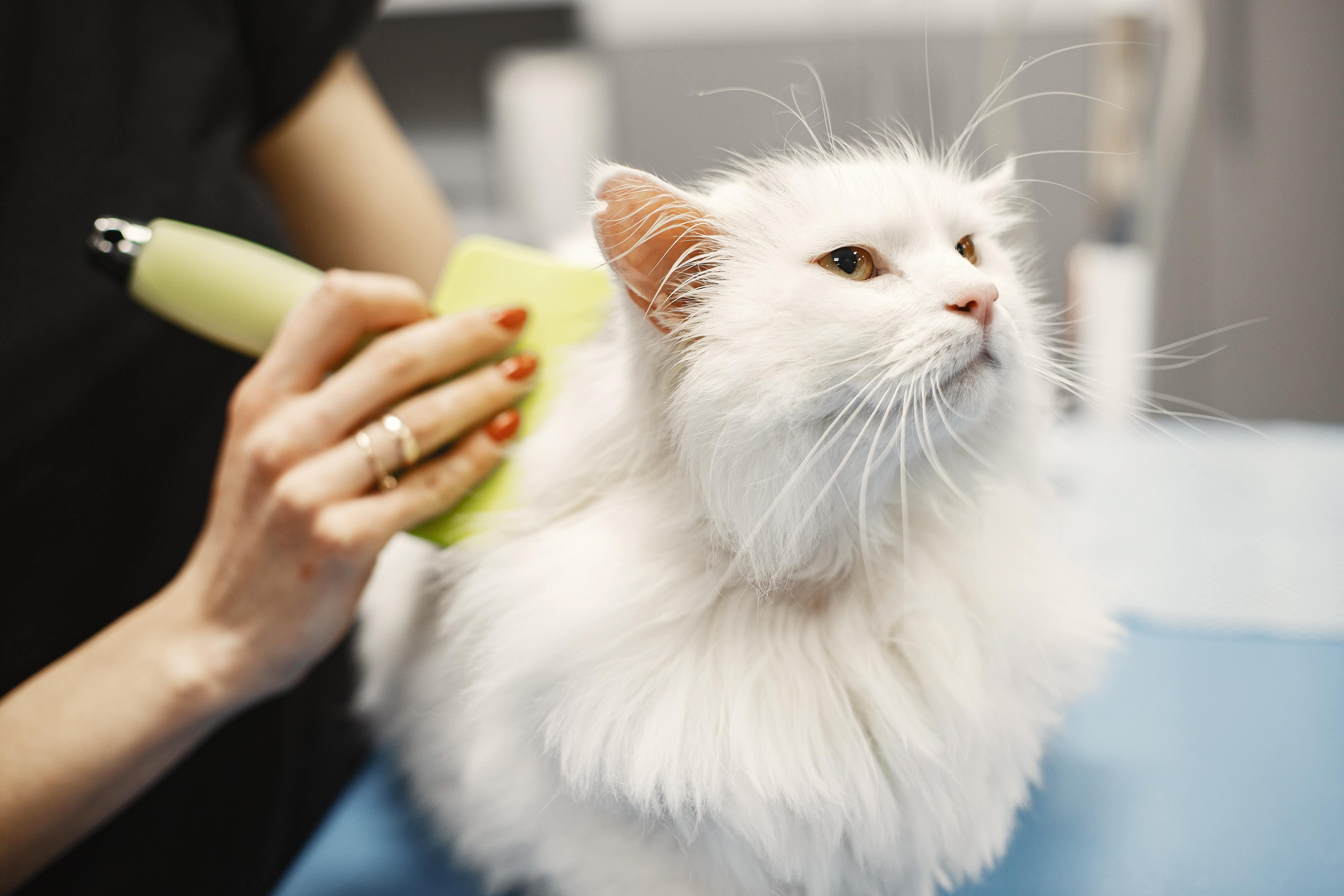 Selected Grooming Brushes