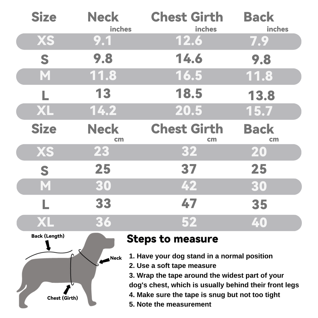 Graffiti Letter Pet Harness: Urban Cool Series