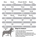 Striped Bear Pet Vest Harness: Everyday Vibes Series