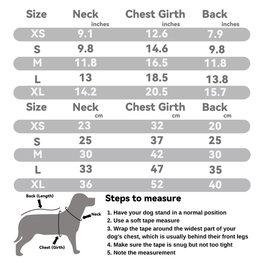 Graffiti Letter Pet Harness: Urban Cool Series