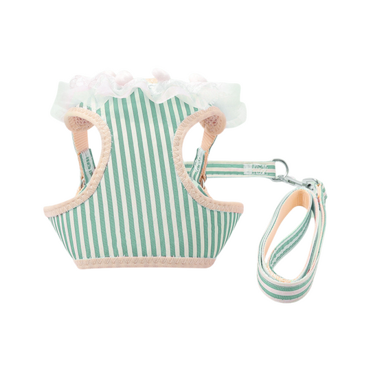 Pet Harness and Leash Set: Lace-Trimmed Striped Collection