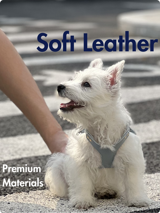 Pet Harness: Classic Leatherette