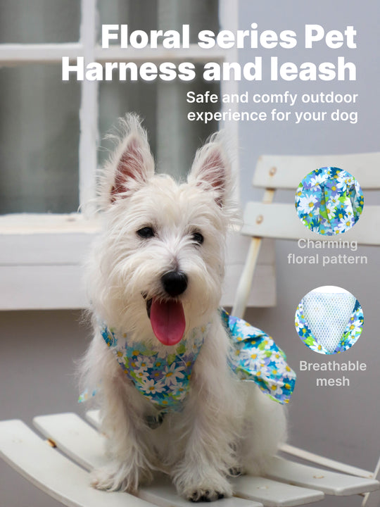 Pet Harness and Leash Set: Summer Floral Collection