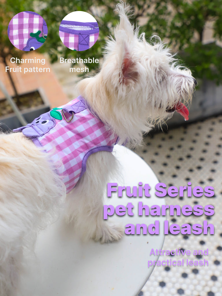 Pet Harness Set: Gingham Fruit-Themed Pet Harness and Leash