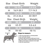 Teddy Bear Pet Harness Set: Protective Guard Series