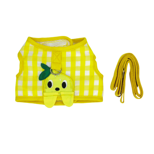 Pet Harness Set: Gingham Fruit-Themed Pet Harness and Leash