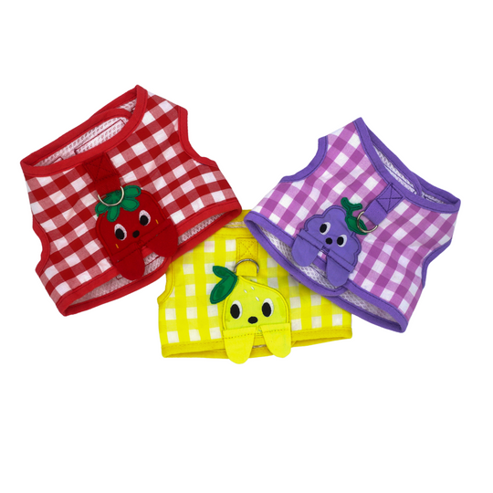 Pet Harness Set: Gingham Fruit-Themed Pet Harness and Leash