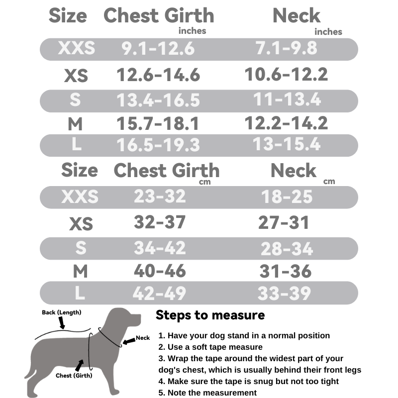Mesh Pet Harness Set: Comfort Breath Series