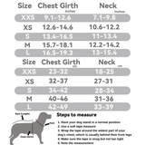 Mesh Pet Harness Set: Comfort Breath Series
