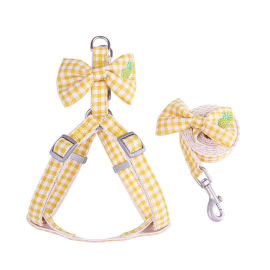 Pet Harness and Leash Set: Fruity Delight Collection