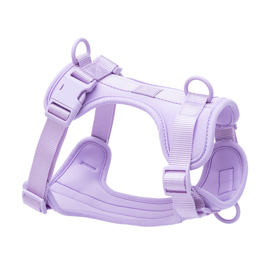 H-Shaped Pet Harness: Comfort-Fit with Anti-Charge Buckle