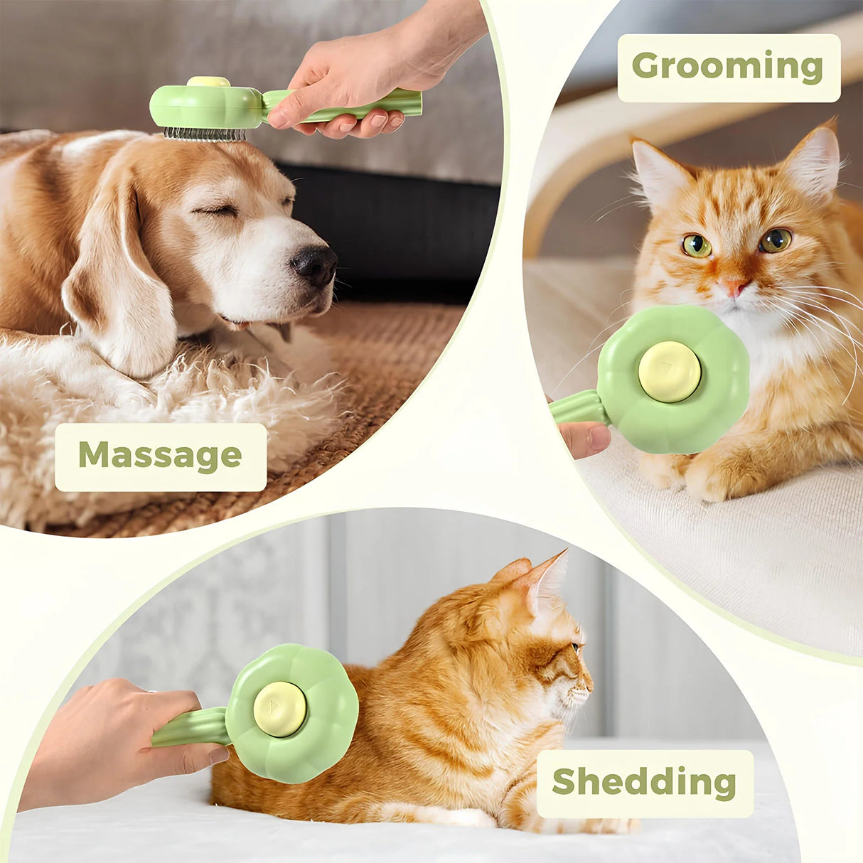 Sunflower Shine Brush: Blooming Beauty in Grooming