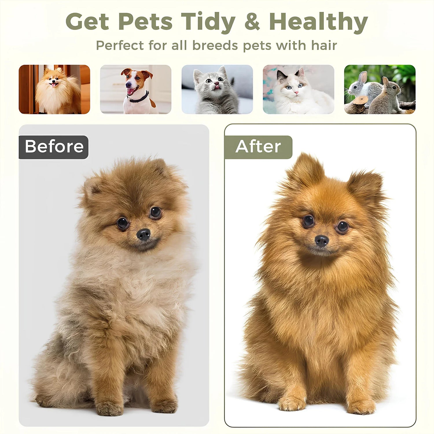 Sunflower Shine Brush: Blooming Beauty in Grooming