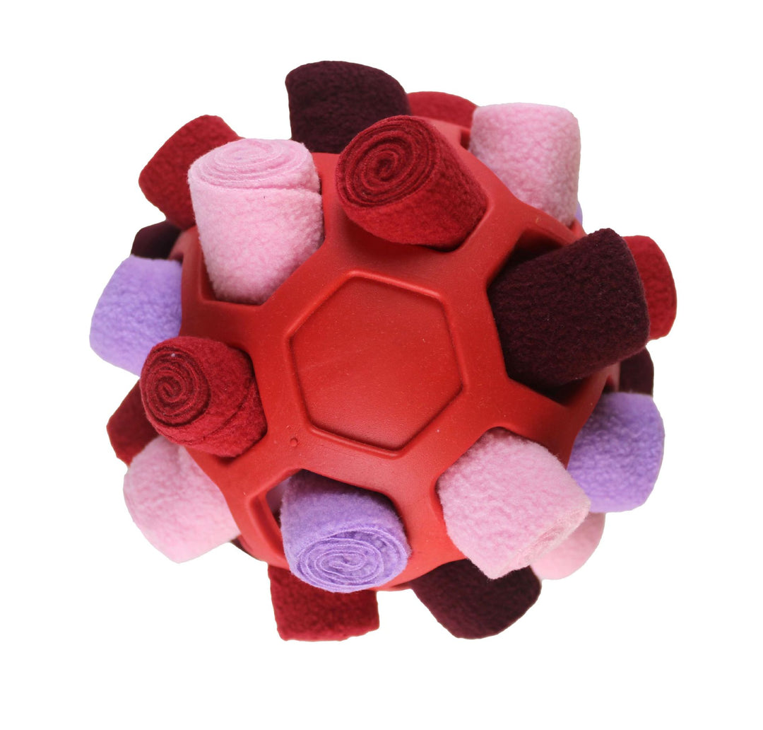 Pet Toy: Rainbow Treat Puzzle Ball