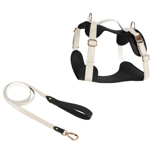 Luxe Leash: Control Handle for Med-Large Dogs
