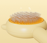 Kitty-Contour Brush: Feline Beauty & Wellness Grooming