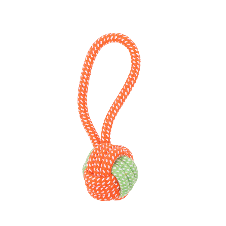 Pet Toy: Chew Delight