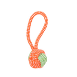 Pet Toy: Chew Delight