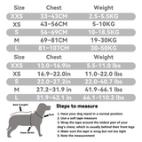 High-Visibility Nylon Pet Harness Set: Active Guard Series