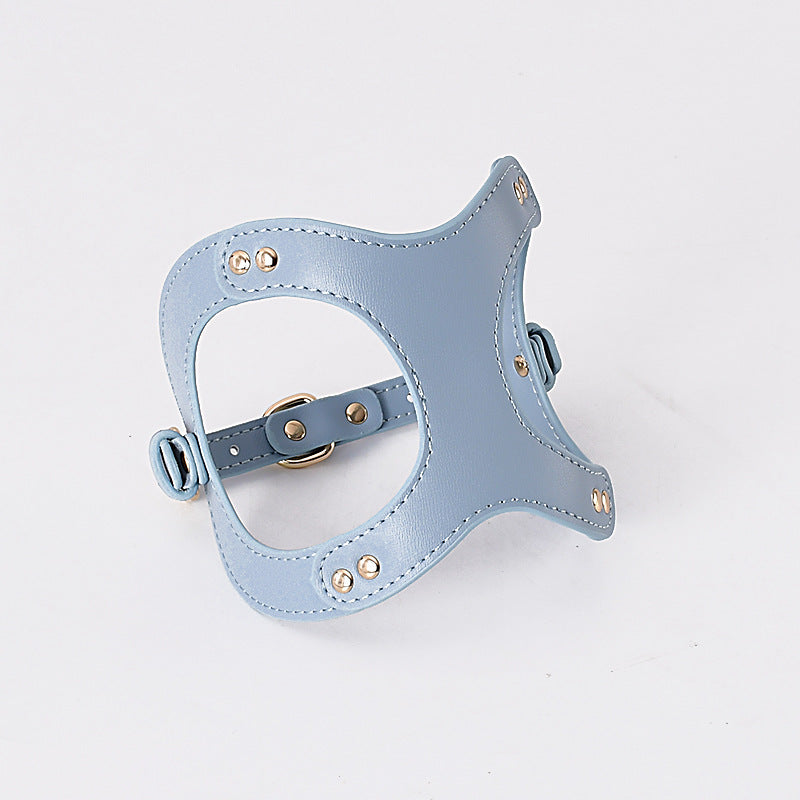 Luxurious Leather Pet Harness: for Small to Medium Dogs and Cats