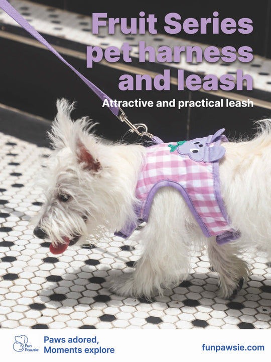 Pet Harness Set: Gingham Fruit-Themed Pet Harness and Leash