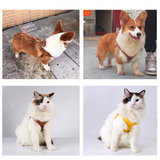 Luxurious Leather Pet Harness: for Small to Medium Dogs and Cats