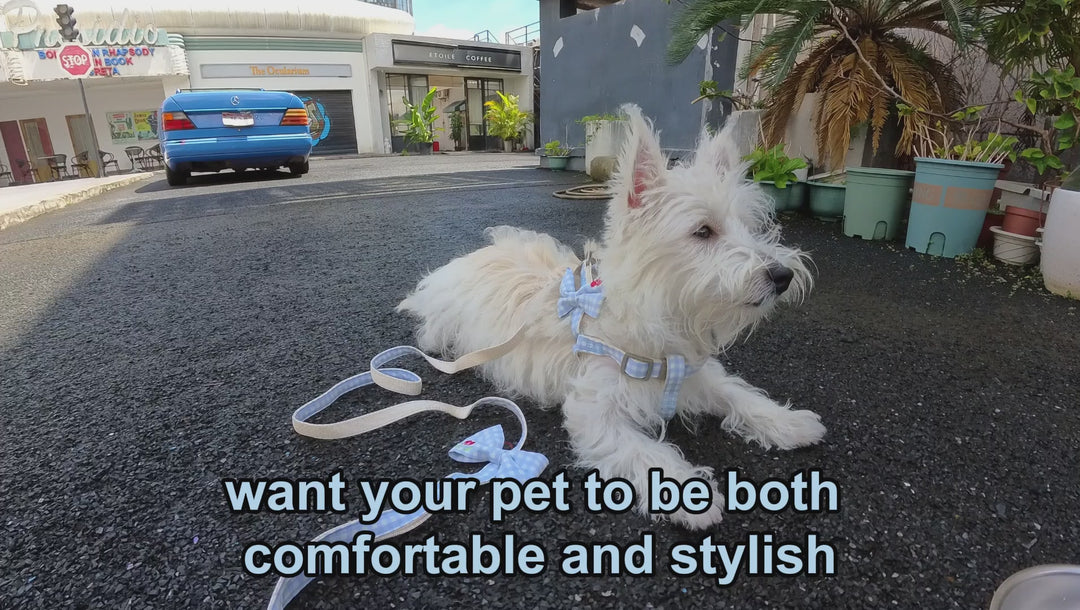 Pet Harness and Leash Set: Fruity Delight Collection