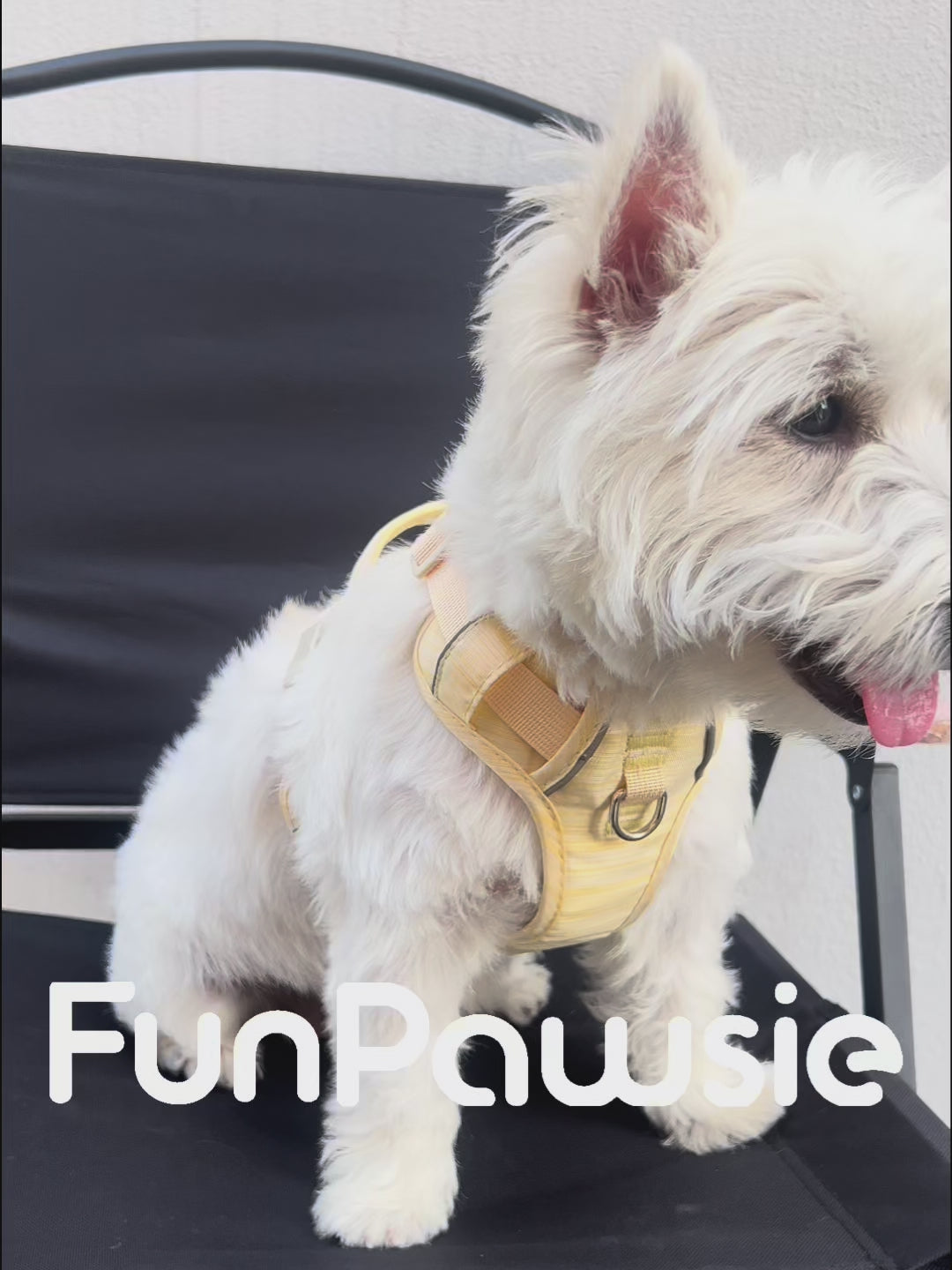 High-Visibility Nylon Pet Harness Set: Active Guard Series