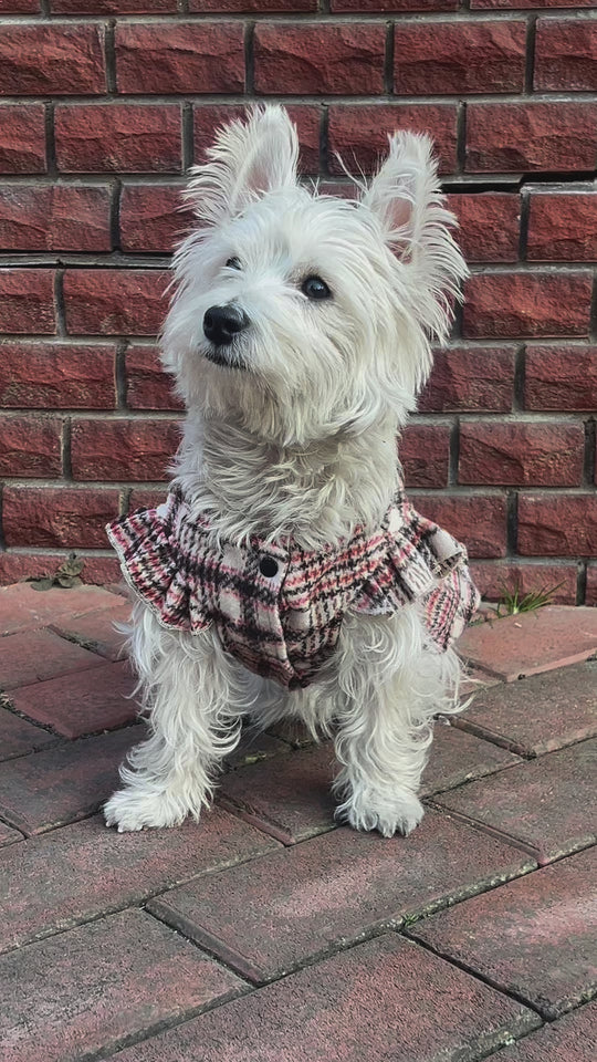 Plaid Tiered Skirt Pet Harness: Elegant & Warm Series