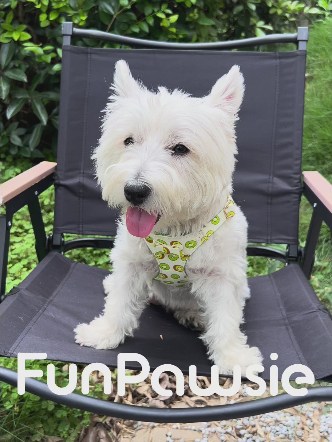 Fruit Duck Pet Harness Set: Fun Outing Series